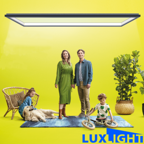 Dutch Daylight partner - Luxlight